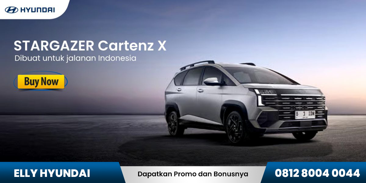 stargazer cartenz x banner